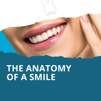 Dickinson dentist, Dr. Agee Kunjumon at Touchstone Dentistry shares all about the anatomy of your mouth and how it works together for your benefit.